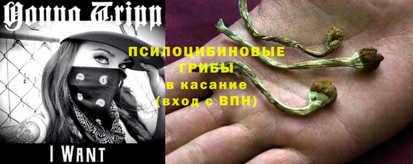 ALPHA PVP Россошь