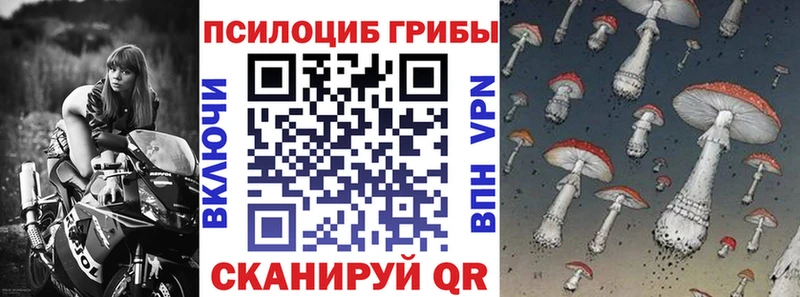 Псилоцибиновые грибы Psilocybine cubensis  Купить закладки  Заволжск 