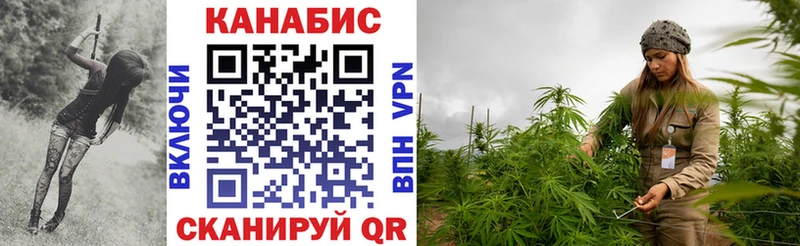 Каннабис план  Купить где  Заволжск 